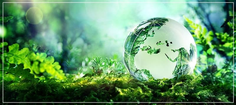 Baterías biodegradables: la nueva frontera de la sostenibilidad